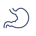 liver