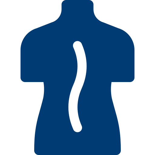 Degenerative Spine 