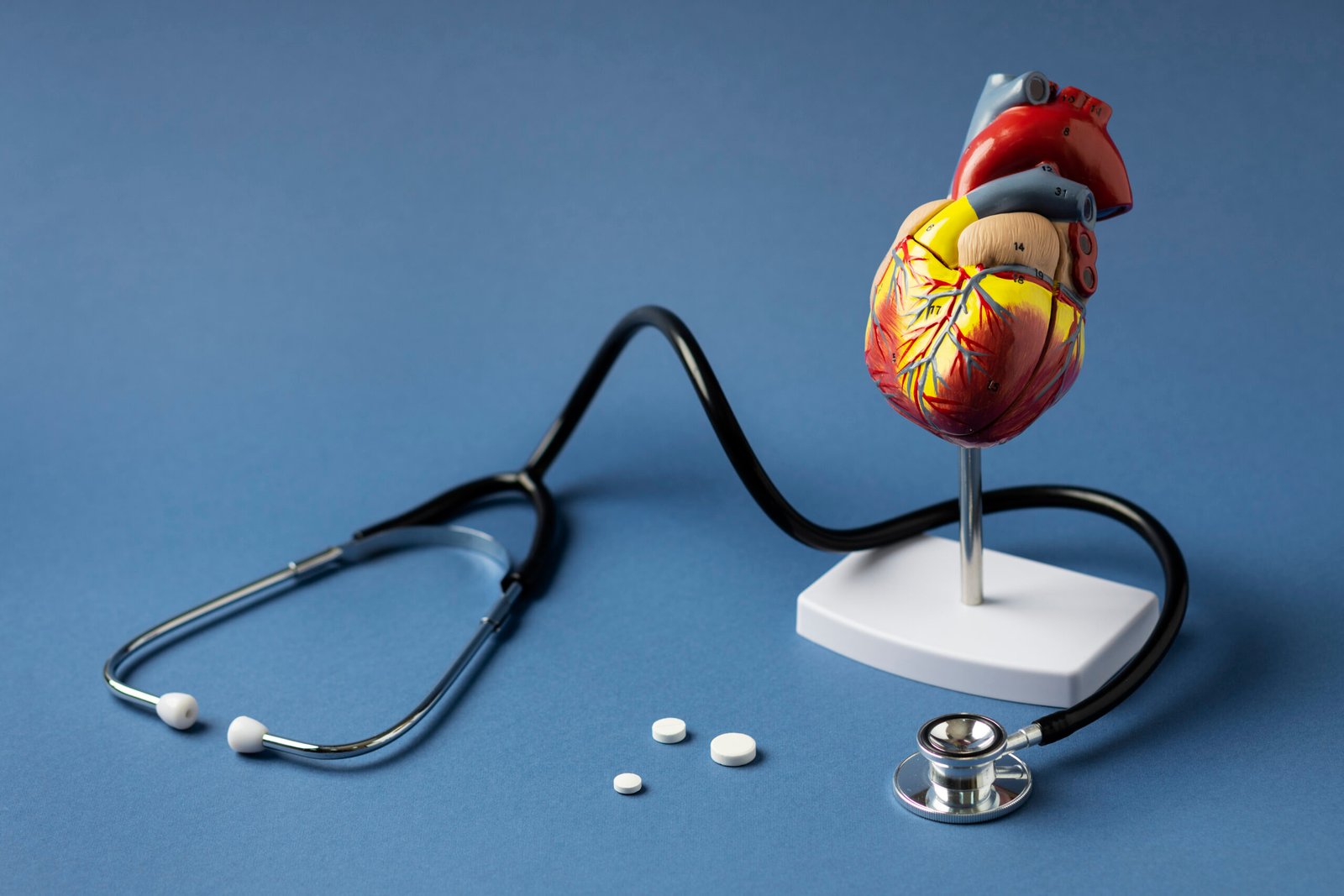 Heart Valve Replacement Cost in India
