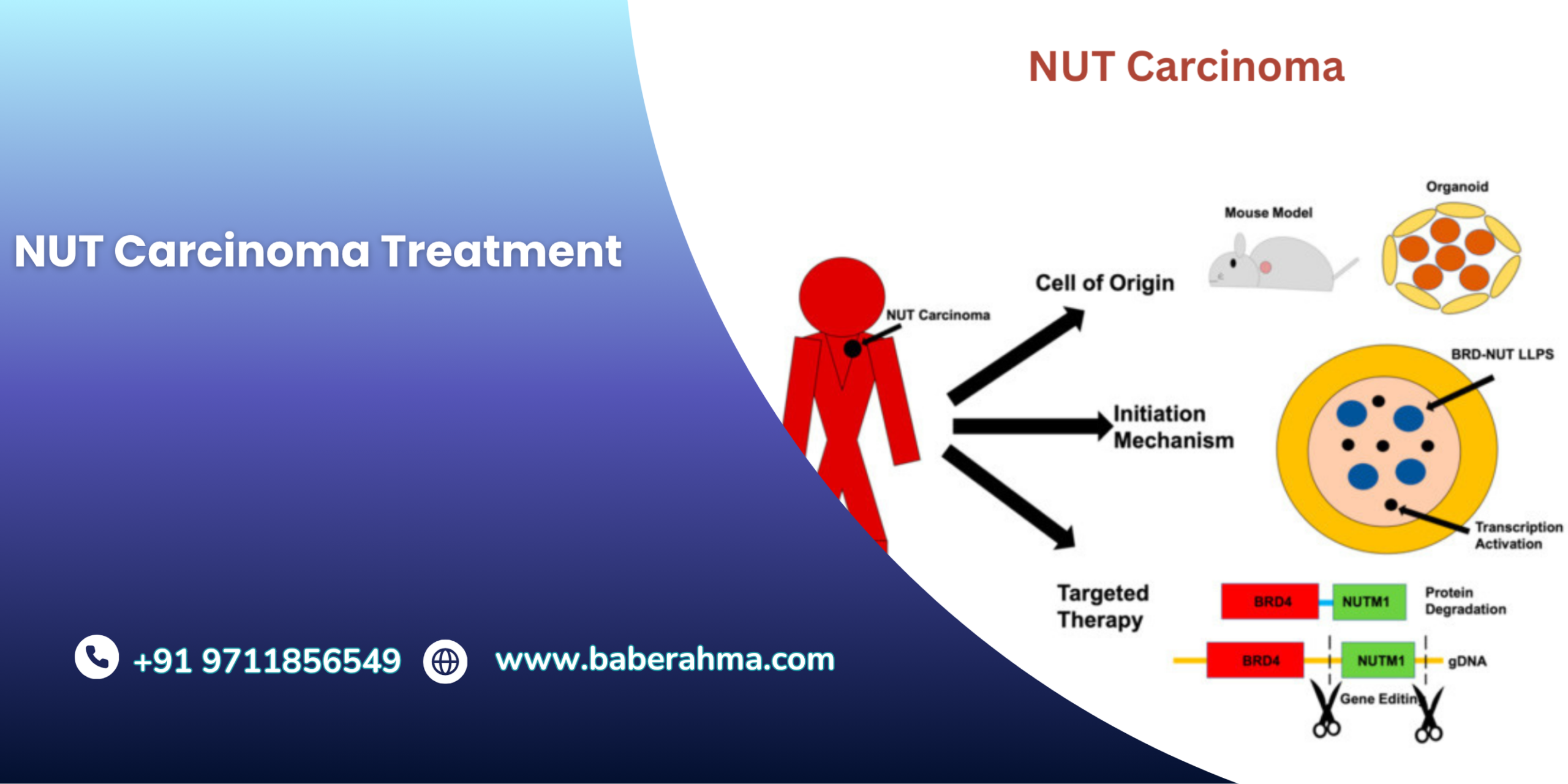 Procedure Image