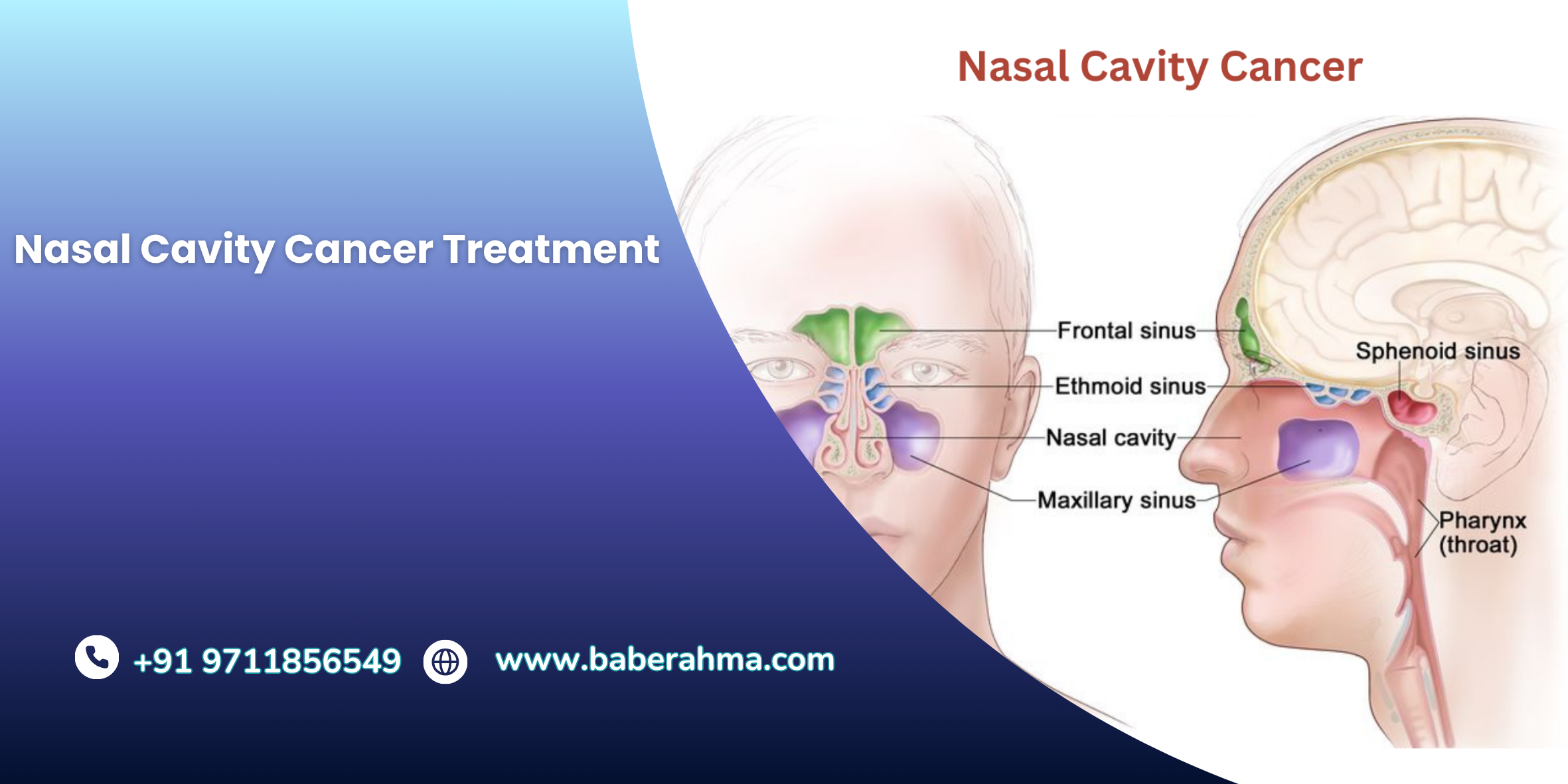 Procedure Image