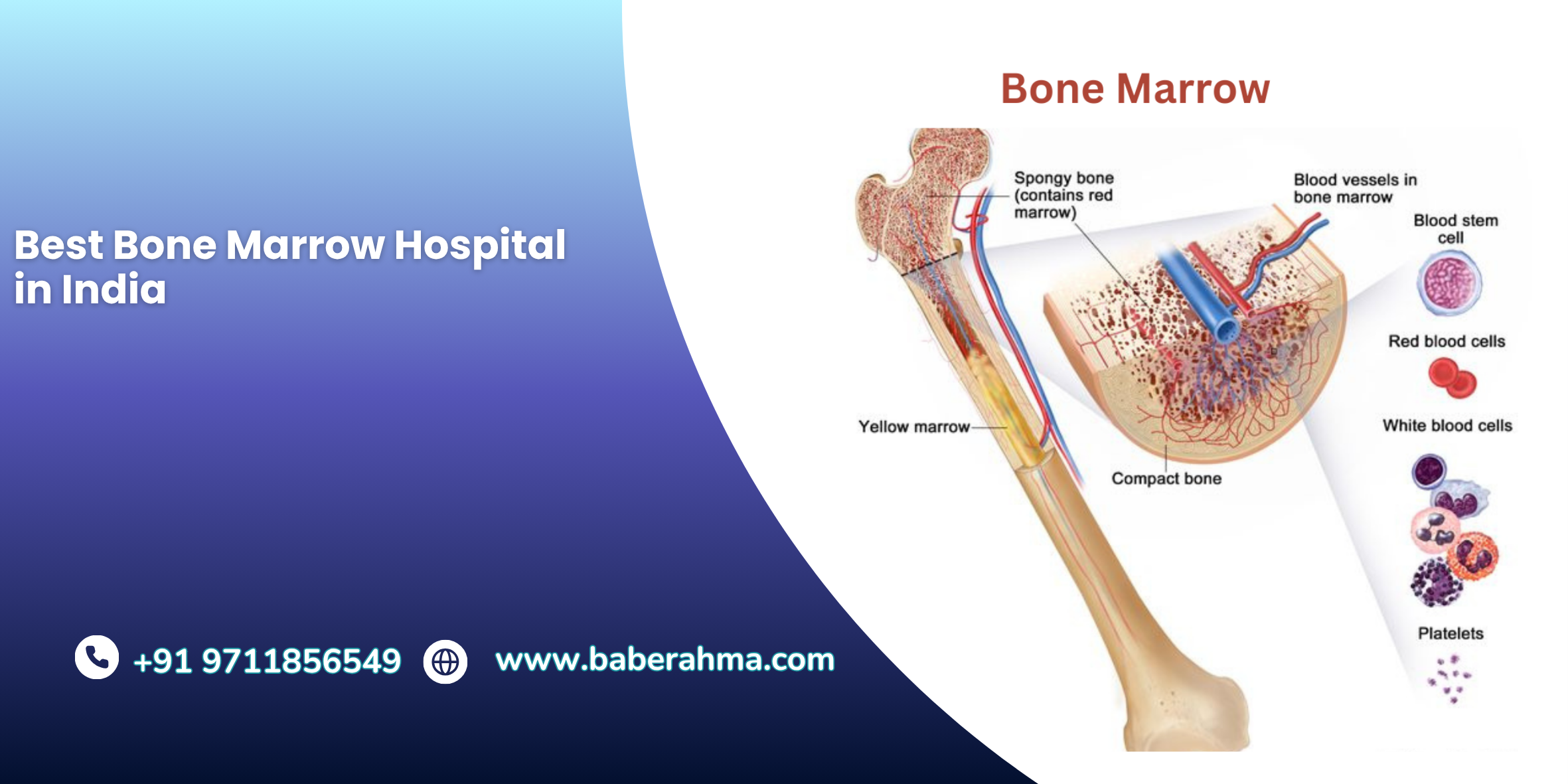 Procedure Image