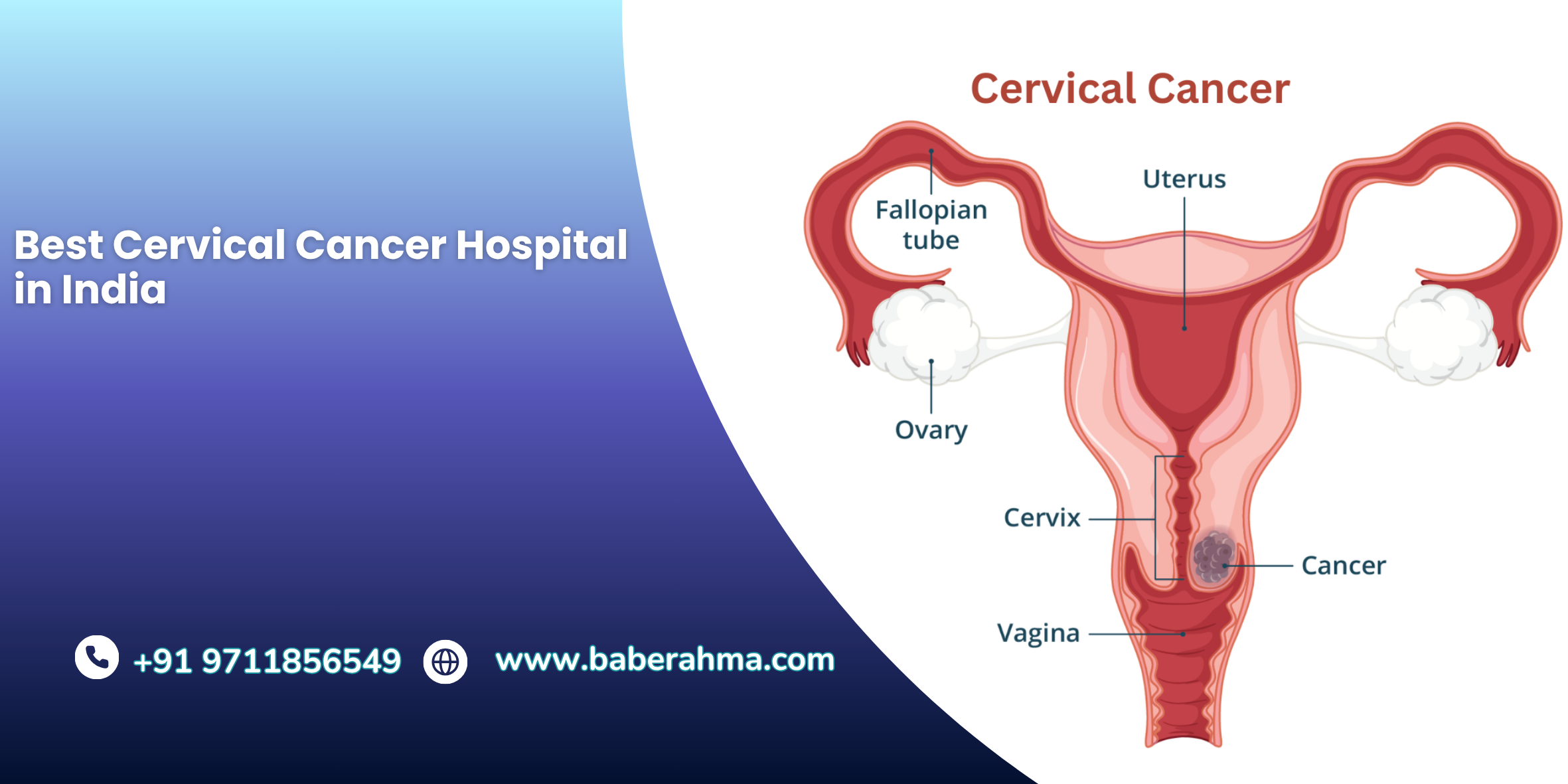 Procedure Image