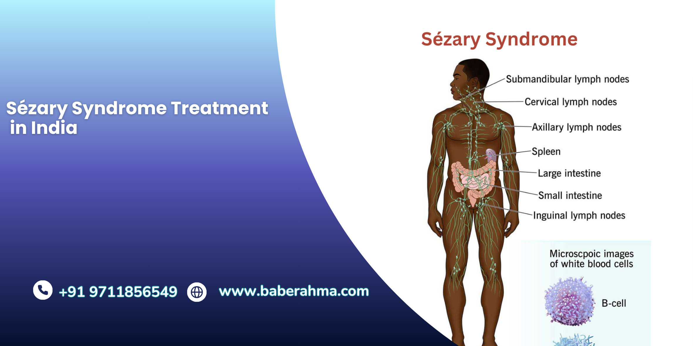 Procedure Image